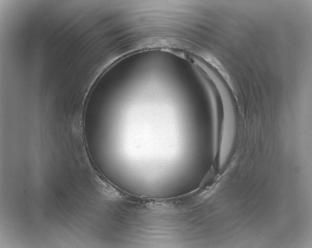 X0000075341089200609292028