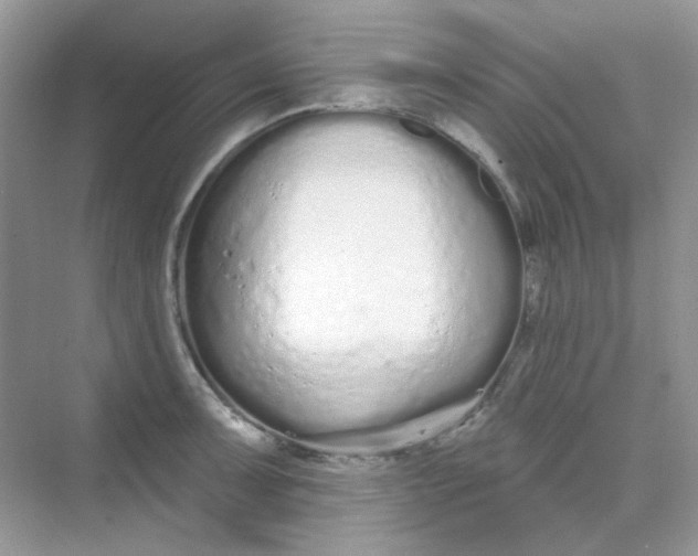 X0000075341091200609292028