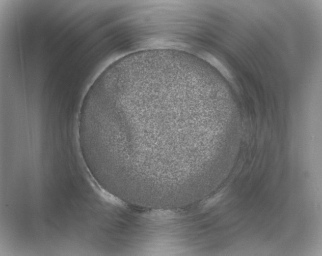 X0000075341094200609292028