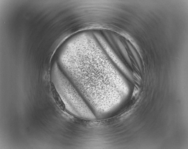 X0000075341097200609292028