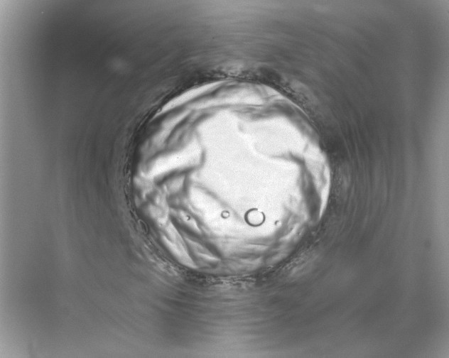 X0000075341105200609292027