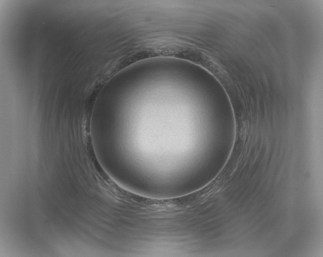 X0000075341108200609292027