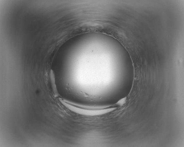 X0000075341109200609292027