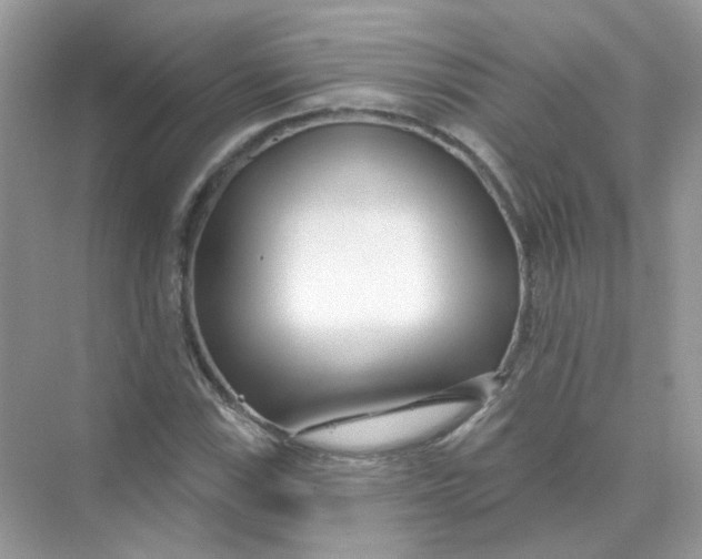 X0000075341115200609292027