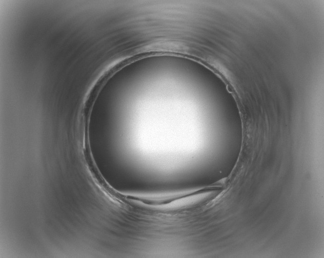 X0000075341123200609292027