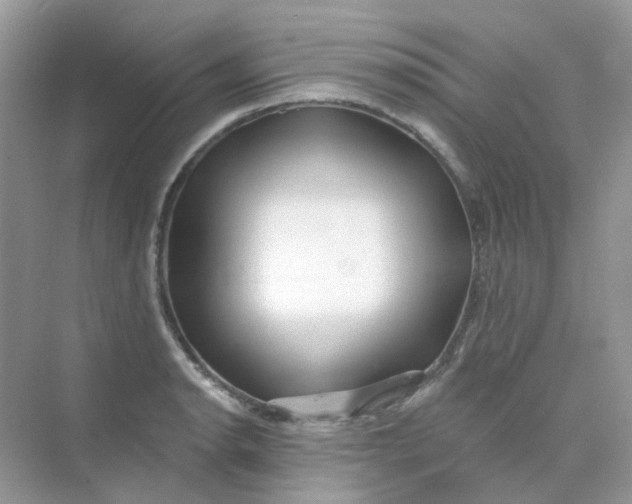 X0000075341134200609292028