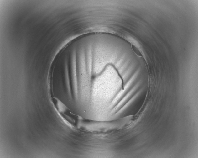 X0000075341141200609292028