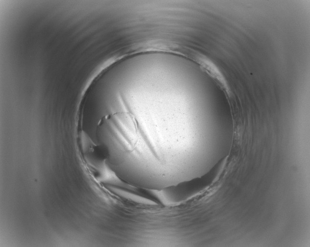 X0000075341146200609292028