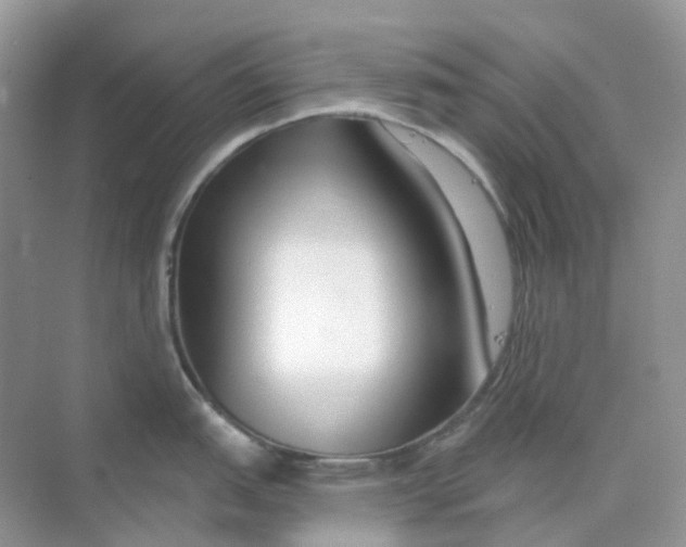 X0000075341151200609292028