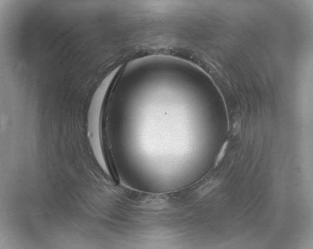 X0000075341156200609292027