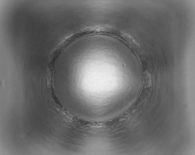 X0000075341158200609292027