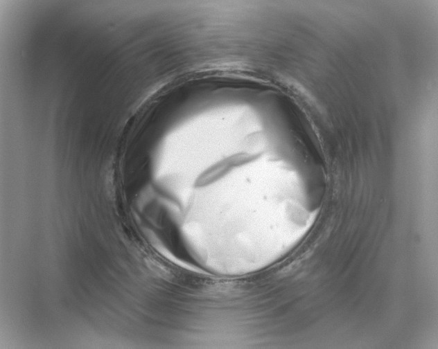 X0000075341162200609292027