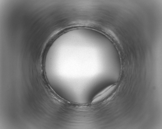 X0000075341172200609292027