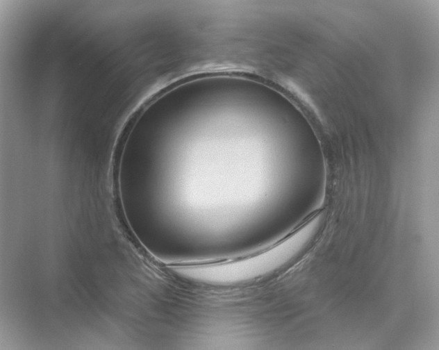 X0000075341173200609292027