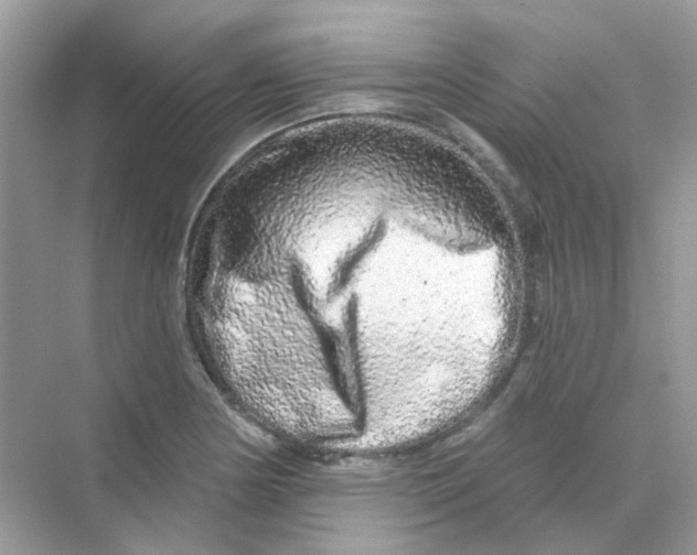 X0000075341178200609292027