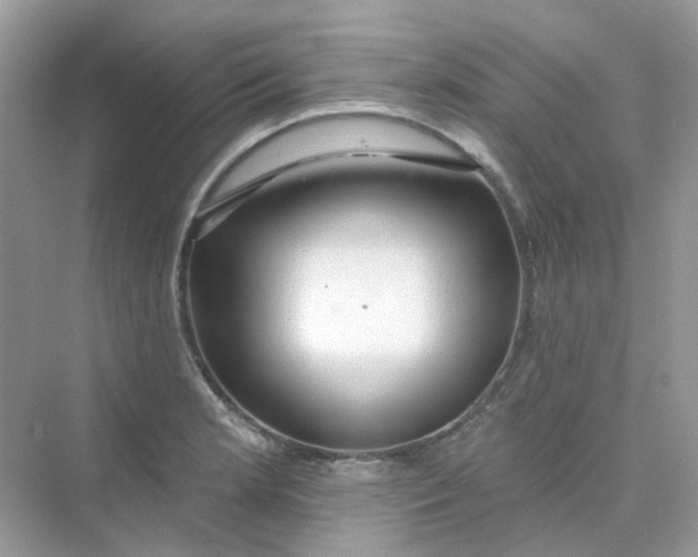 X0000075341181200609292027