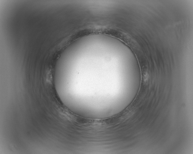 X0000075341204200609292026