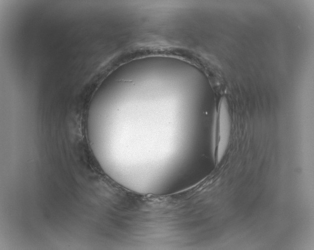 X0000075341205200609292026