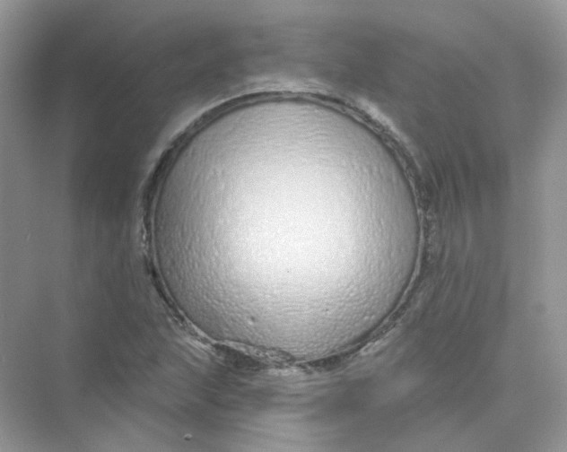 X0000075341215200609292026