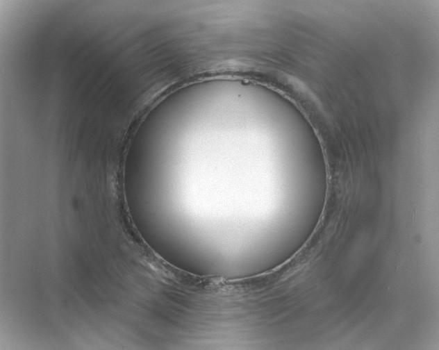 X0000075341217200609292026