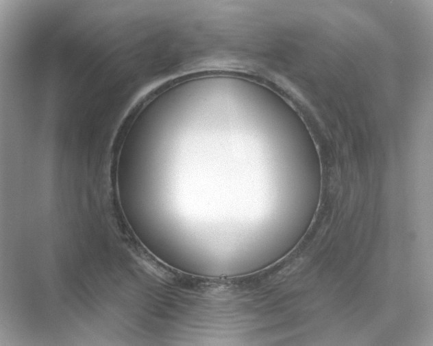 X0000075341222200609292026