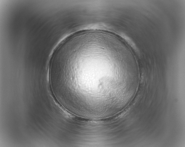 X0000075341224200609292026