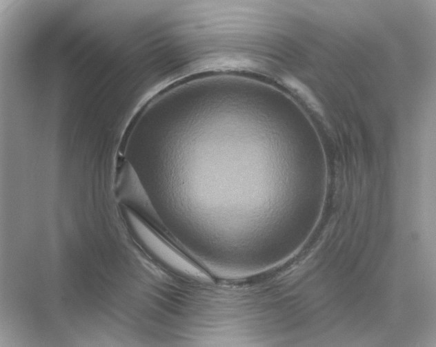 X0000075341226200609292026