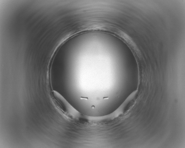X0000075341234200609292026