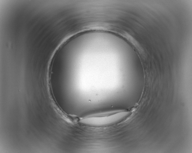 X0000075341240200609292026