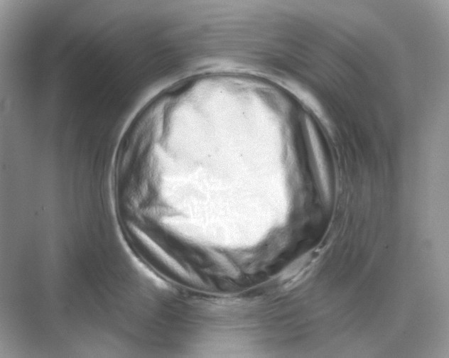 X0000075341247200609292026
