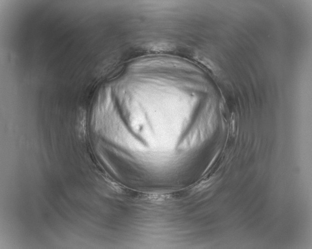X0000075341251200609292025