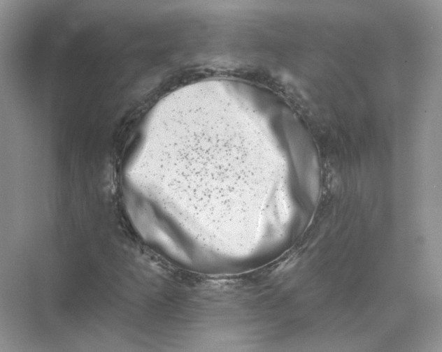 X0000075341253200609292025