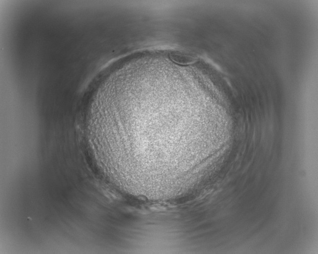 X0000075341255200609292025