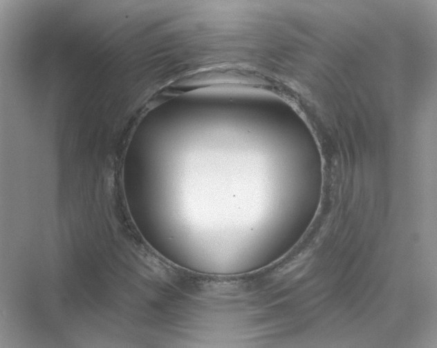 X0000075341257200609292025