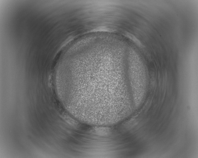 X0000075341258200609292025