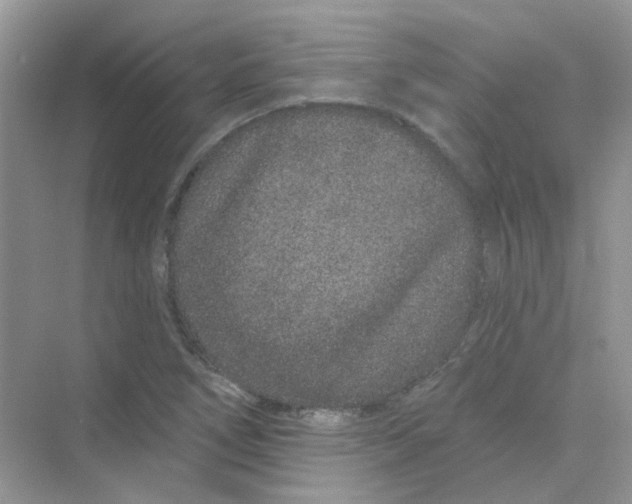 X0000075341266200609292025