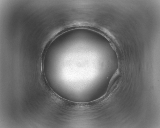 X0000075341269200609292025