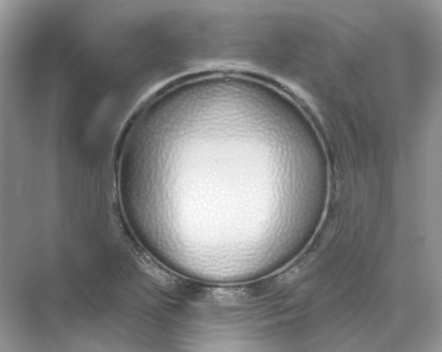 X0000075341271200609292025