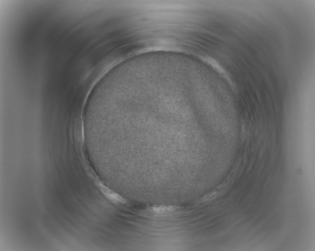 X0000075341274200609292025