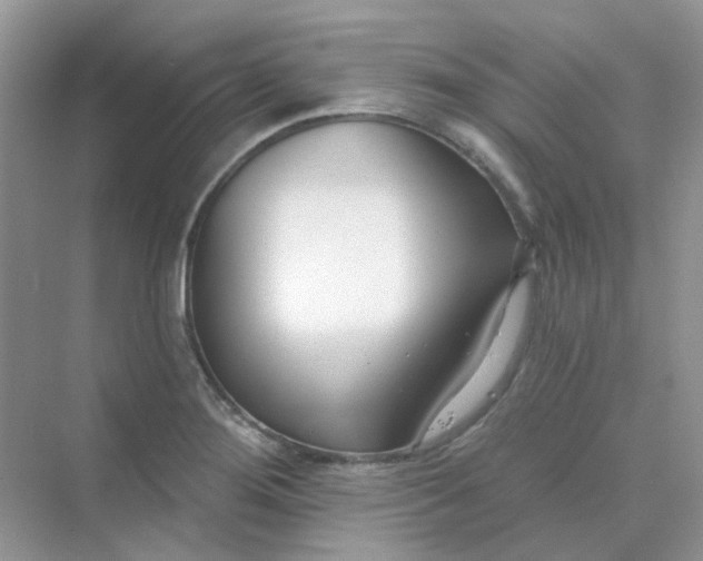 X0000075341276200609292025