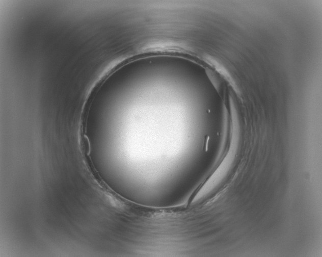 X0000075341277200609292025