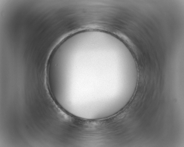 X0000075341286200609292025