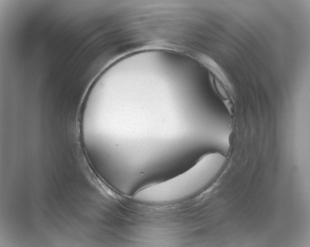X0000075341292200609292025