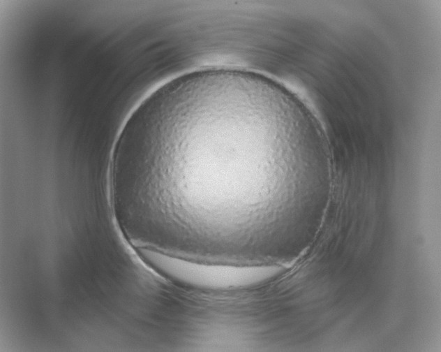 X0000075341295200609292025