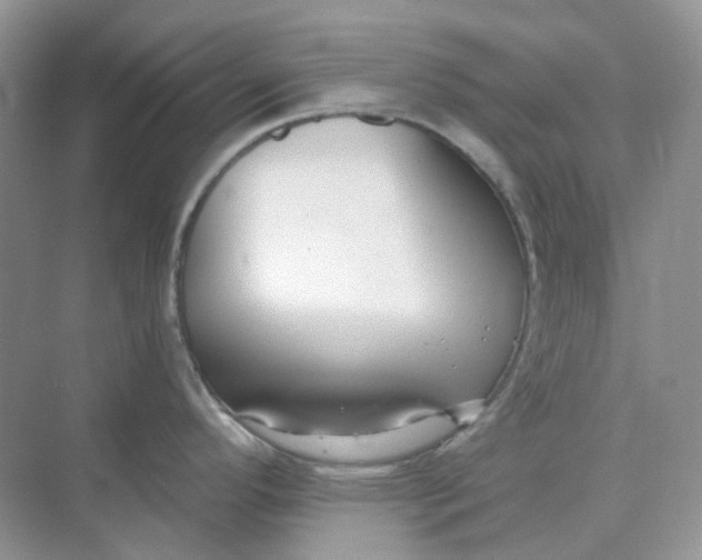 X0000075341296200609292025