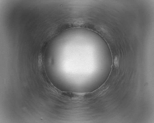 X0000075341299200609292024
