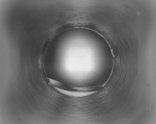 X0000075341300200609292024