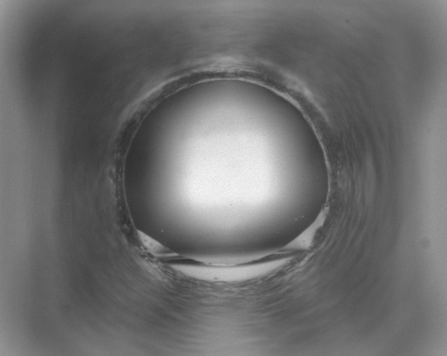 X0000075341304200609292024