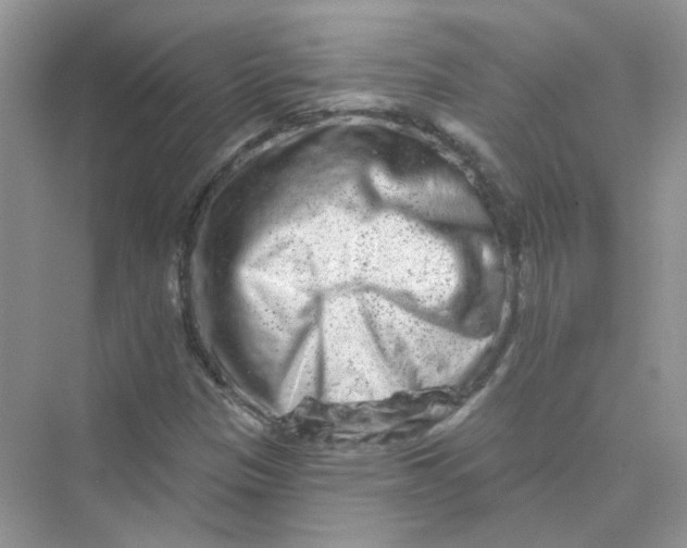 X0000075341305200609292024