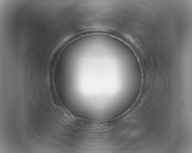 X0000075341307200609292024